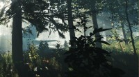 Хоррор в открытом мире The Forest выйдет на PS4